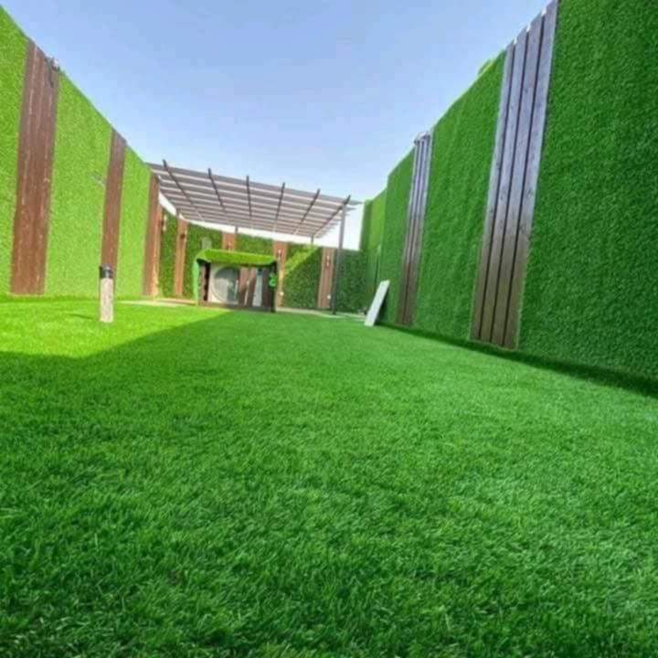 Consectetur